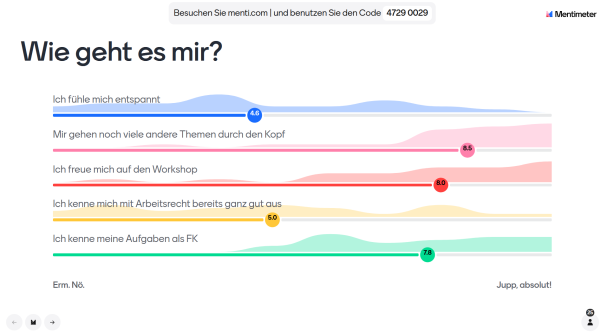 Die fünf genannten Fragen grafisch dargestellt; es zeigt sich Vorfreude auf den Workshop aber auch noch viele Themen, die den FK durch den Kopf gehen